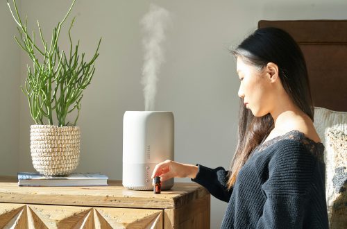 do humidifiers cause mold
